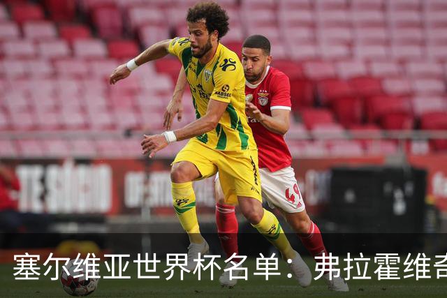 塞尔维亚世界杯名单：弗拉霍维奇领衔 古德利在列